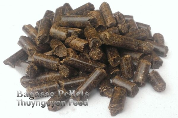 Bagasse Pallets